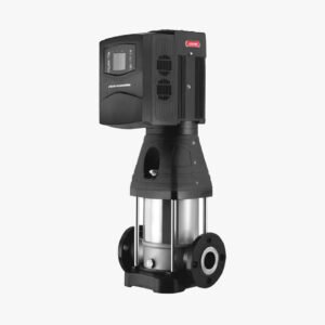 CDLF-IM - Image 1