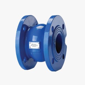 NIAGARA Check Valve – Model CS1W - Image 1