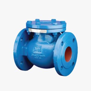 NIAGARA Check Valve – Model CS4 / CS4 ANSI - Image 1