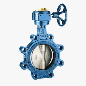 NIAGARA Butterfly Valve – Models FFSD25 & FFSD25G - Image 1