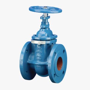 NIAGARA Gate Valve – Model GS10 - Image 1
