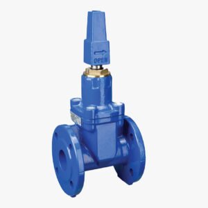 NIAGARA Gate Valve – Model GS6-SA - Image 1