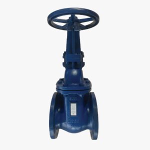NIAGARA Gate Valve – Model GSD16 - Image 1